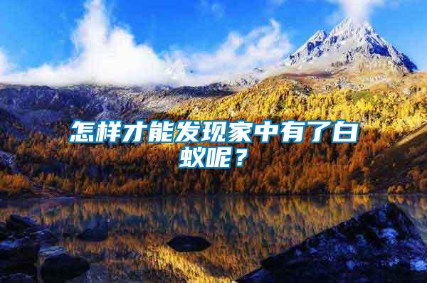 怎樣才能發(fā)現(xiàn)家中有了白蟻呢？