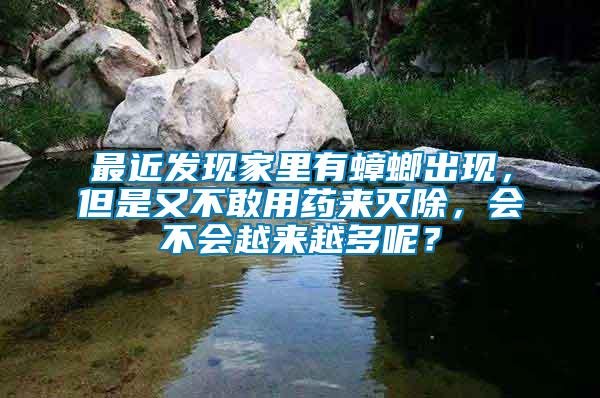 最近發(fā)現(xiàn)家里有蟑螂出現(xiàn)，但是又不敢用藥來滅除，會不會越來越多呢？