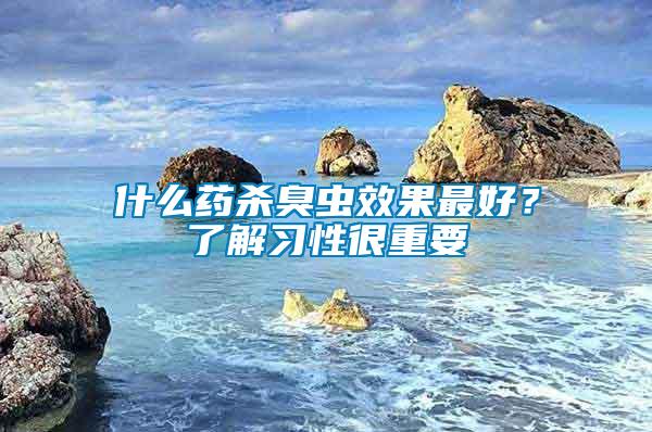 什么藥殺臭蟲效果最好？了解習(xí)性很重要