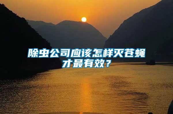 除蟲(chóng)公司應(yīng)該怎樣滅蒼蠅才最有效？