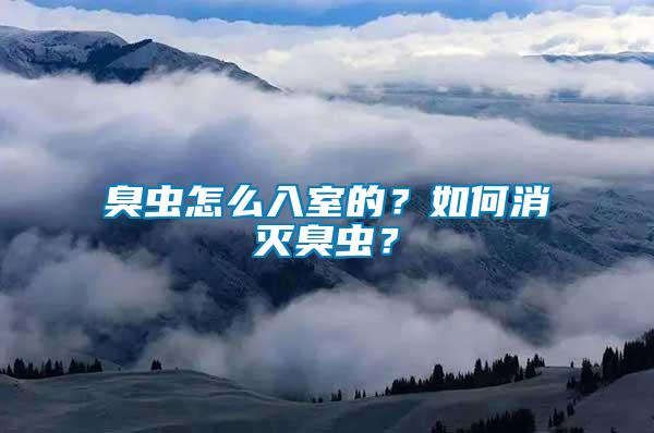 臭蟲怎么入室的？如何消滅臭蟲？