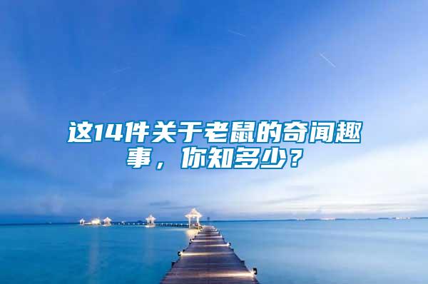 這14件關(guān)于老鼠的奇聞趣事，你知多少？