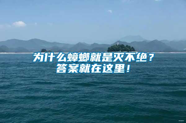 為什么蟑螂就是滅不絕？答案就在這里！