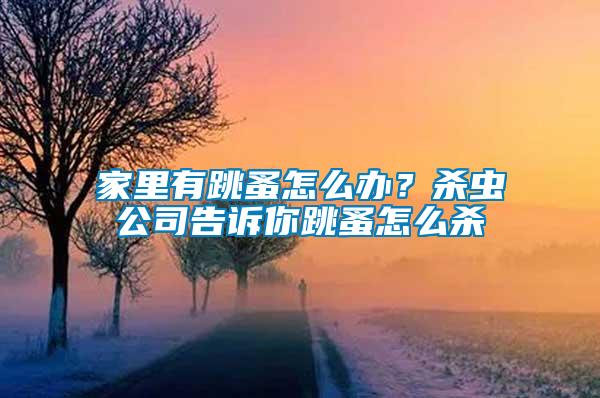 家里有跳蚤怎么辦？殺蟲公司告訴你跳蚤怎么殺