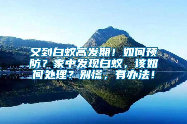 又到白蟻高發(fā)期！如何預(yù)防？家中發(fā)現(xiàn)白蟻，該如何處理？別慌，有辦法！