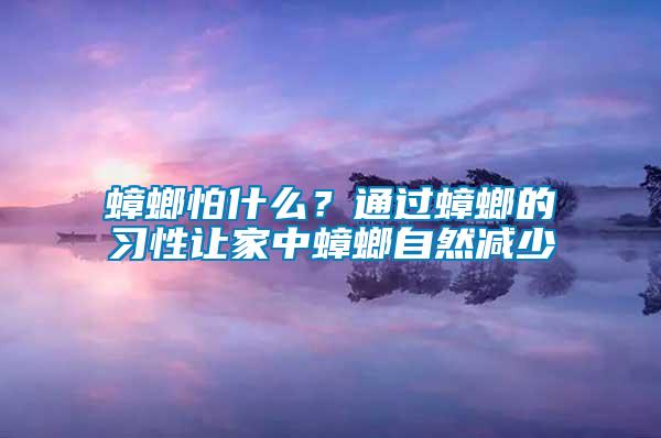 蟑螂怕什么？通過(guò)蟑螂的習(xí)性讓家中蟑螂自然減少