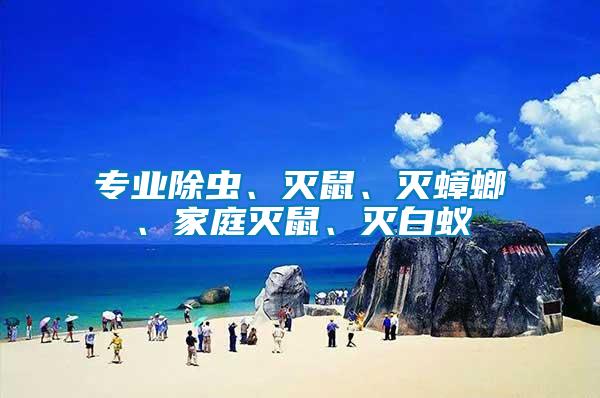 專業(yè)除蟲、滅鼠、滅蟑螂、家庭滅鼠、滅白蟻