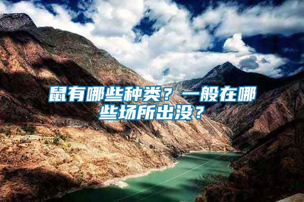 鼠有哪些種類(lèi)？一般在哪些場(chǎng)所出沒(méi)？