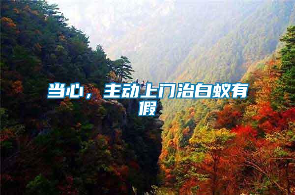 當(dāng)心，主動(dòng)上門治白蟻有假