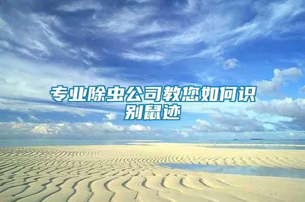 專(zhuān)業(yè)除蟲(chóng)公司教您如何識(shí)別鼠跡