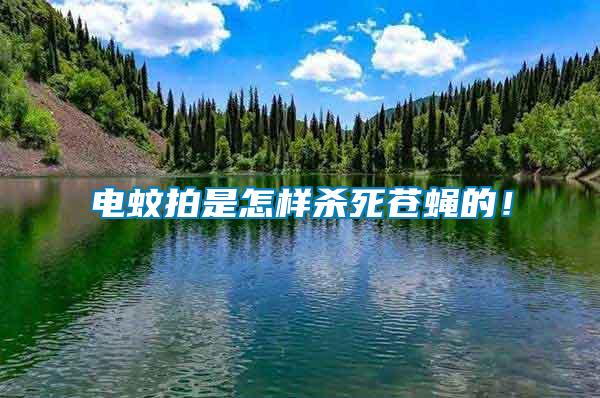 電蚊拍是怎樣殺死蒼蠅的！