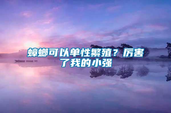 蟑螂可以單性繁殖？厲害了我的小強(qiáng)
