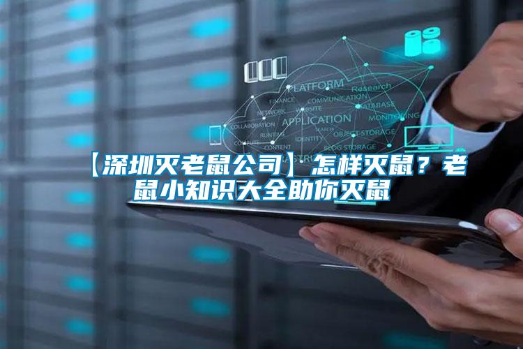 【深圳滅老鼠公司】怎樣滅鼠？老鼠小知識大全助你滅鼠