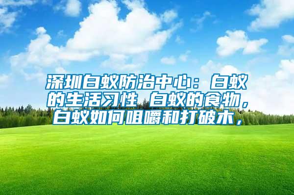 深圳白蟻防治中心：白蟻的生活習(xí)性 白蟻的食物，白蟻如何咀嚼和打破木，