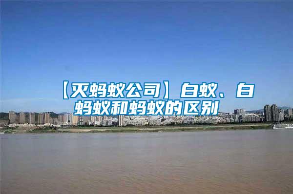 【滅螞蟻公司】白蟻、白螞蟻和螞蟻的區(qū)別