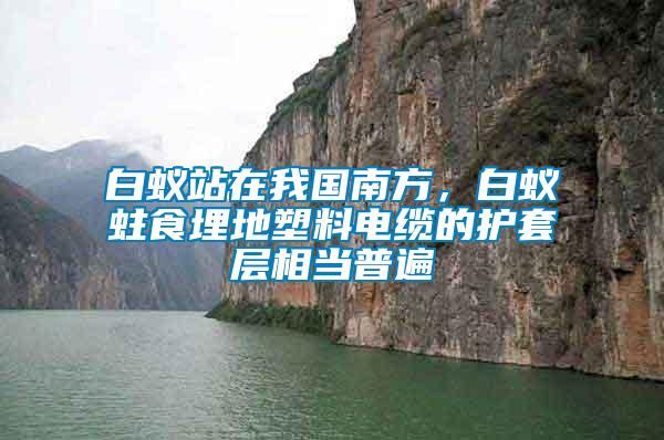 白蟻站在我國(guó)南方，白蟻蛀食埋地塑料電纜的護(hù)套層相當(dāng)普遍