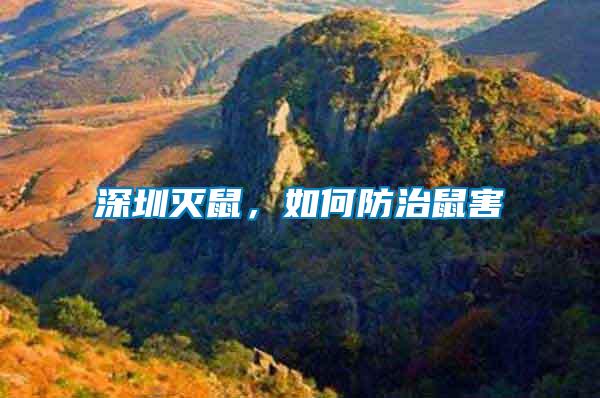 深圳滅鼠，如何防治鼠害