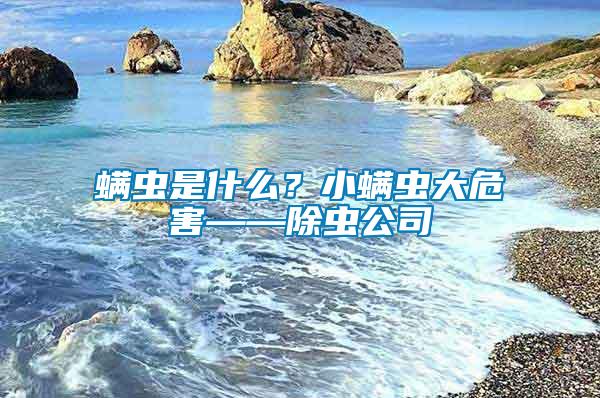 螨蟲(chóng)是什么？小螨蟲(chóng)大危害——除蟲(chóng)公司