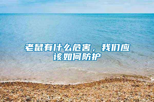 老鼠有什么危害，我們應(yīng)該如何防護(hù)