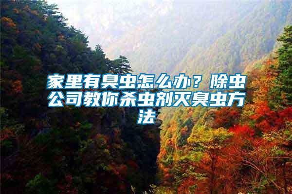 家里有臭蟲怎么辦？除蟲公司教你殺蟲劑滅臭蟲方法