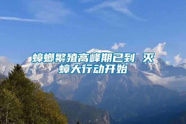 蟑螂繁殖高峰期已到 滅蟑大行動(dòng)開始
