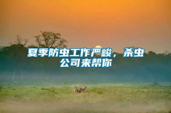 夏季防蟲工作嚴(yán)峻，殺蟲公司來幫你
