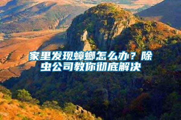 家里發(fā)現(xiàn)蟑螂怎么辦？除蟲公司教你徹底解決