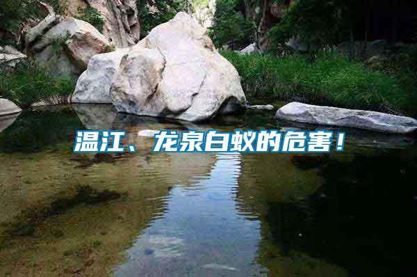 溫江、龍泉白蟻的危害！