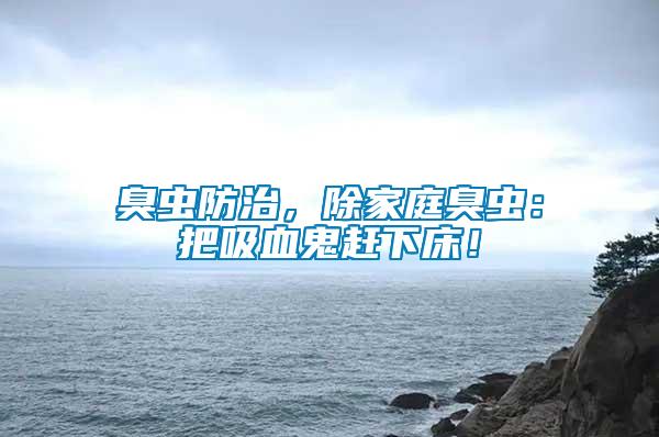 臭蟲防治，除家庭臭蟲：把吸血鬼趕下床！