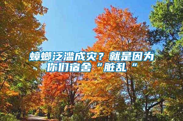 蟑螂泛濫成災(zāi)？就是因為你們宿舍“臟亂“
