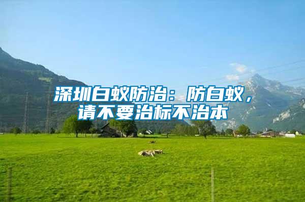 深圳白蟻防治：防白蟻，請不要治標不治本