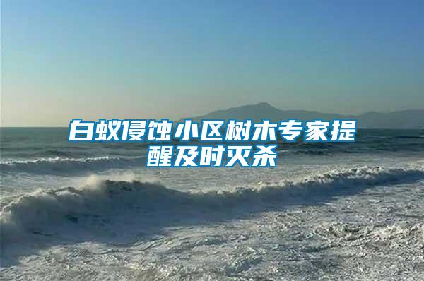 白蟻侵蝕小區(qū)樹(shù)木專家提醒及時(shí)滅殺