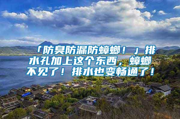 「防臭防漏防蟑螂！」排水孔加上這個(gè)東西，蟑螂不見了！排水也變暢通了！