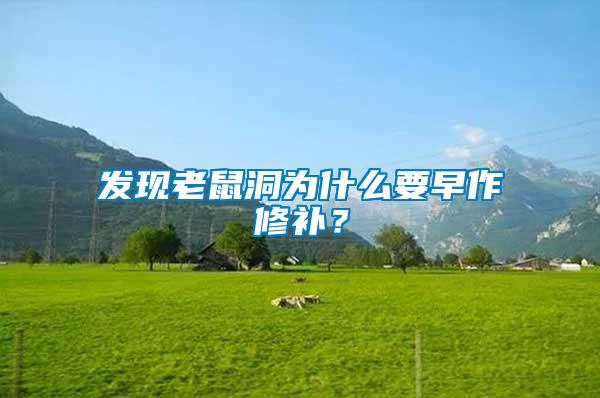 發(fā)現(xiàn)老鼠洞為什么要早作修補(bǔ)？