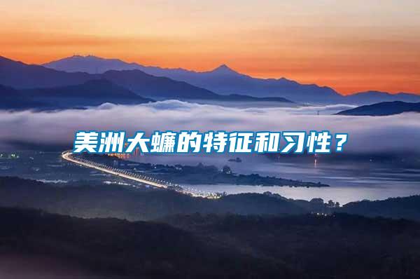 美洲大蠊的特征和習(xí)性？