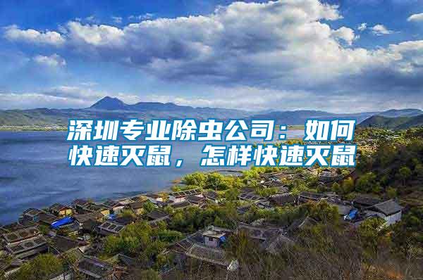 深圳專(zhuān)業(yè)除蟲(chóng)公司：如何快速滅鼠，怎樣快速滅鼠