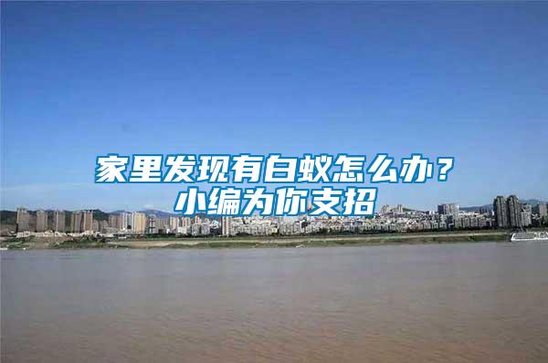 家里發(fā)現(xiàn)有白蟻怎么辦？小編為你支招