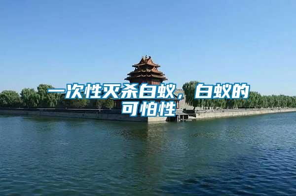 一次性滅殺白蟻，白蟻的可怕性