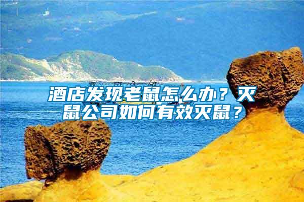 酒店發(fā)現(xiàn)老鼠怎么辦？滅鼠公司如何有效滅鼠？