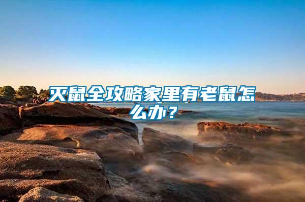 滅鼠全攻略家里有老鼠怎么辦？
