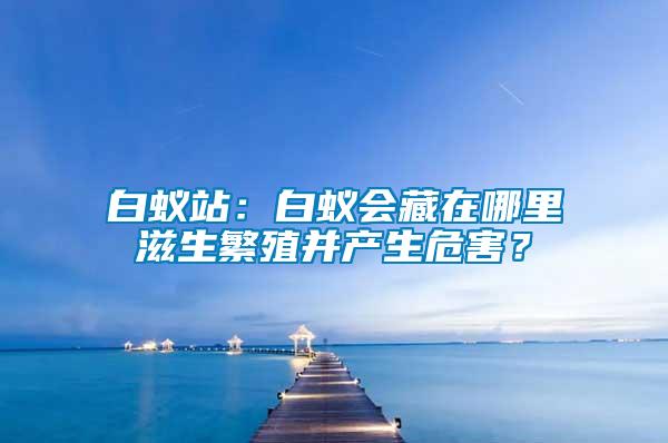 白蟻站：白蟻會藏在哪里滋生繁殖并產(chǎn)生危害？