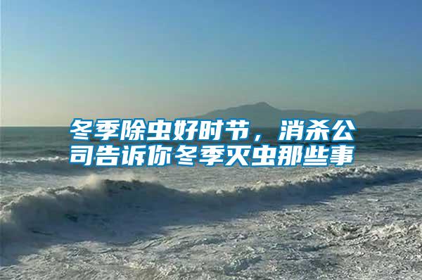 冬季除蟲好時節(jié)，消殺公司告訴你冬季滅蟲那些事