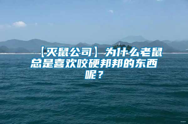 【滅鼠公司】為什么老鼠總是喜歡咬硬邦邦的東西呢？