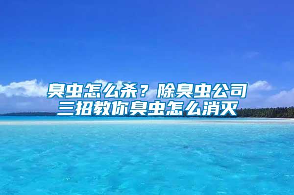 臭蟲怎么殺？除臭蟲公司三招教你臭蟲怎么消滅