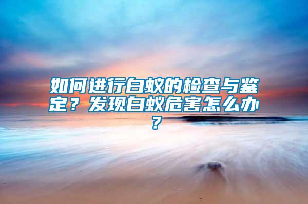 如何進行白蟻的檢查與鑒定？發(fā)現(xiàn)白蟻危害怎么辦？
