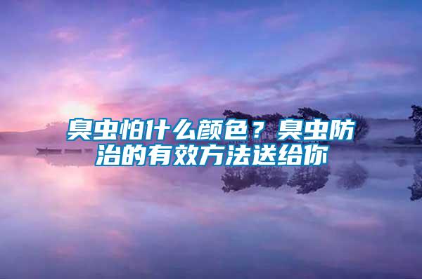 臭蟲怕什么顏色？臭蟲防治的有效方法送給你