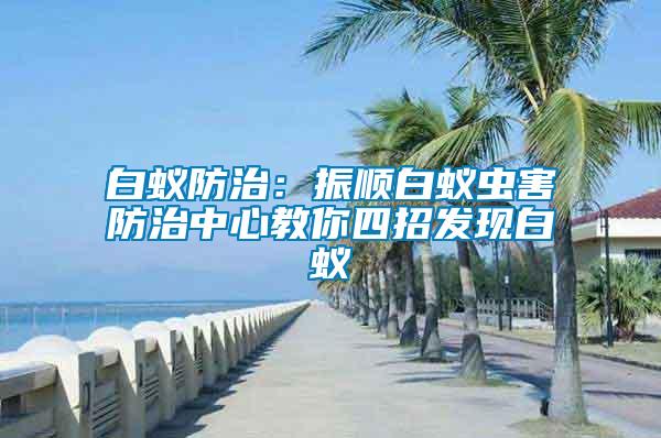 白蟻防治：振順白蟻蟲(chóng)害防治中心教你四招發(fā)現(xiàn)白蟻