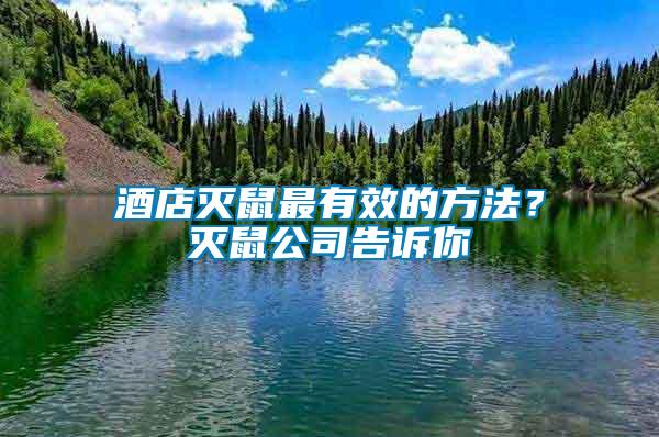 酒店滅鼠最有效的方法？滅鼠公司告訴你