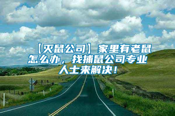 【滅鼠公司】家里有老鼠怎么辦，找捕鼠公司專業(yè)人士來解決！