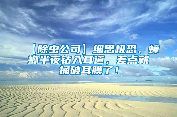【除蟲公司】細(xì)思極恐，蟑螂半夜鉆入耳道，差點(diǎn)就捅破耳膜了！